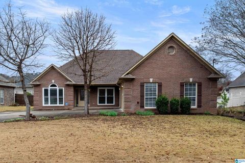 336 HEWITT STREET TRUSSVILLE AL 35173