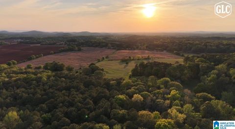 3279 WHITING ROAD 1 TALLADEGA AL 35160