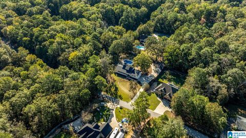 21295 LESLIE DRIVE LAKE VIEW AL 35111