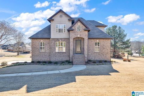 210 FARM COURT SPRINGVILLE AL 35146