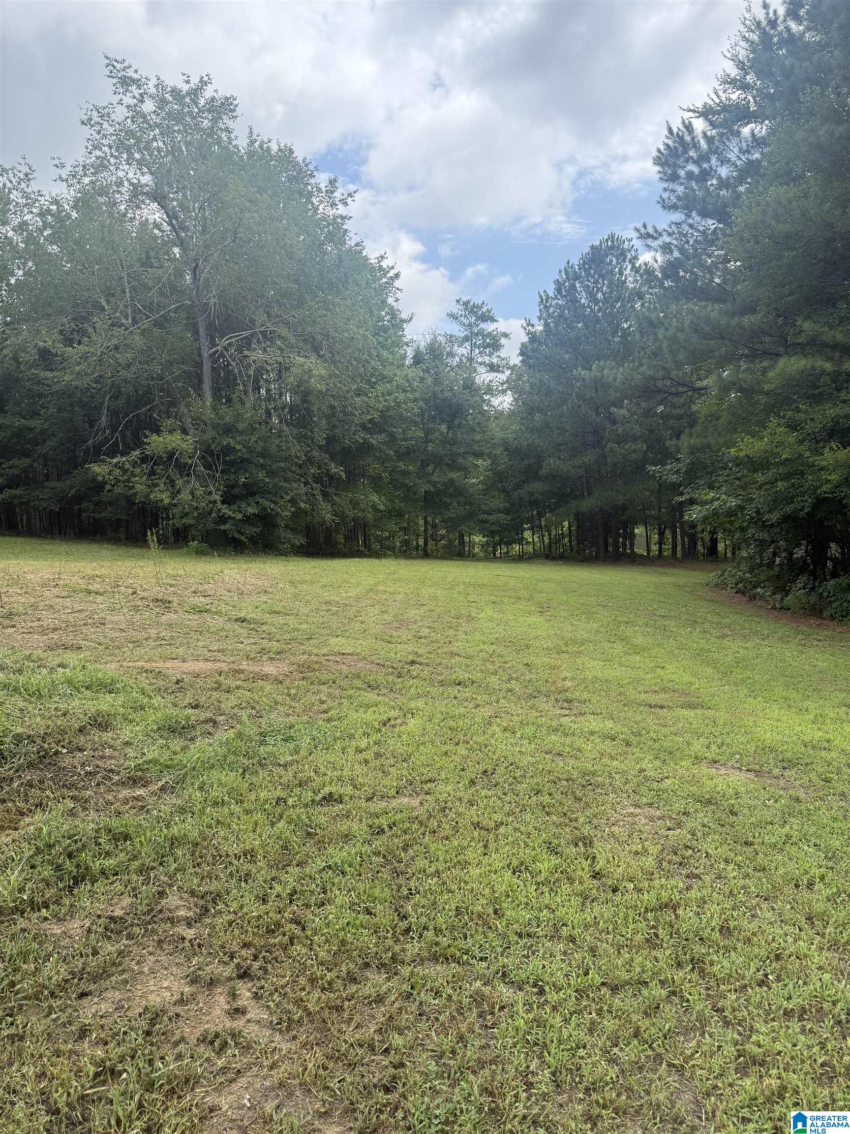4579 CABIN ROAD 17