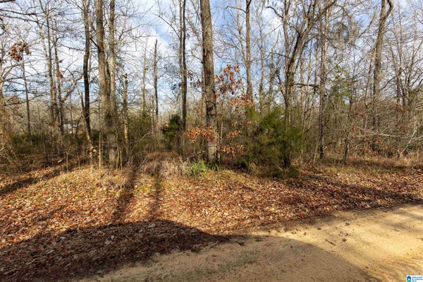 0 RIVER OAKS LANDING CIRCLE # 35, ORRVILLE, AL 36767 - Image cc998926a6b4e581ffb17ad8f620cafa/656460580