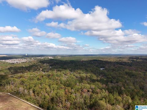 0 LIMESTONE DRIVE Metes and Bounds CALERA AL 35040
