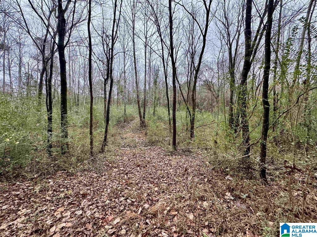 8260 KERMIT JOHNSON ROAD 1