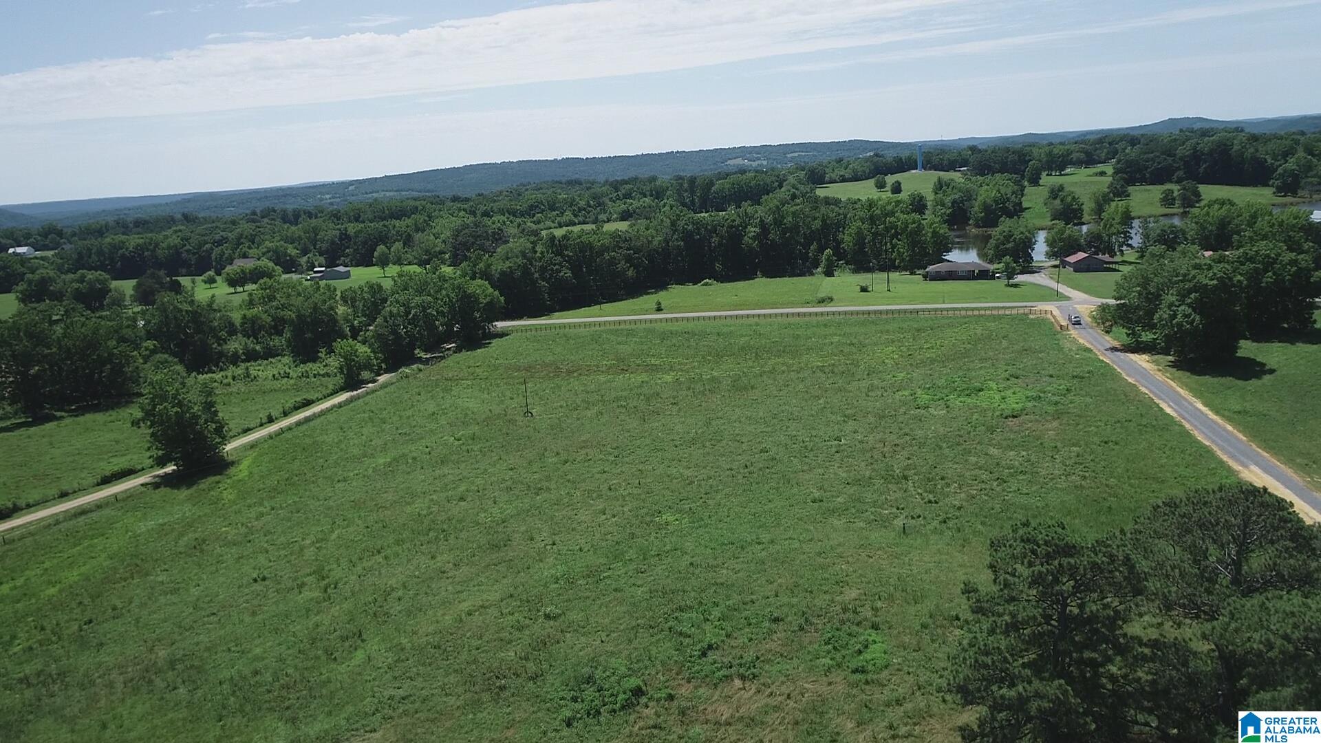 Photo 1 of 8 — 0 HIGHWAY 57 Tract 3, BLOUNTSVILLE, AL 35031