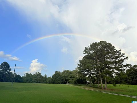 383 COUNTRY CHURCH ROAD HARPERSVILLE AL 35078