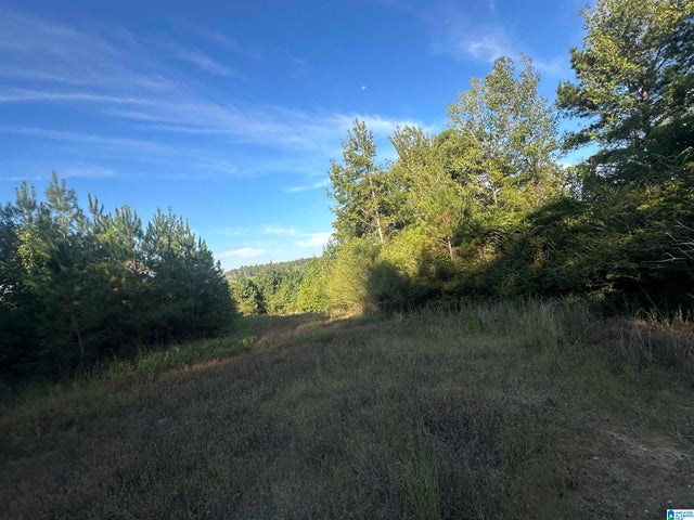 0 COUNTY ROAD 317 1
