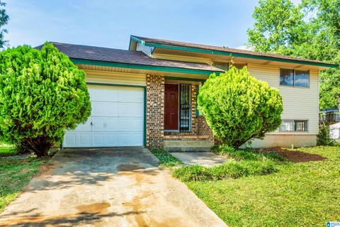 1112 S GALE DRIVE BIRMINGHAM AL 35228