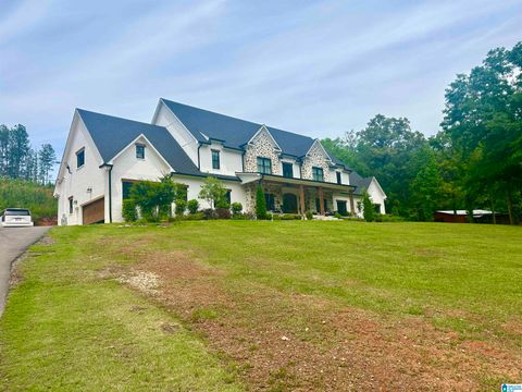 6961 LOWETOWN ROAD 1 MCCALLA AL 35111