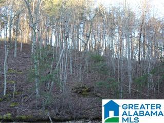 Lot 48 AQUA DRIVE Lot 48
