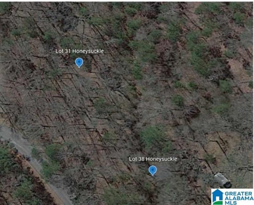 31 HONEYSUCKLE LN, ODENVILLE, AL 35120 - Image cf8fb8d291a504055ccefb5e65da857c/1665453893