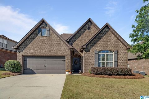 5900 LONGVIEW LANE TRUSSVILLE AL 35173