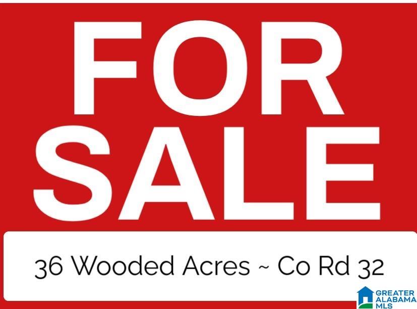 Photo 1 of 1 — 0 COUNTY ROAD 32 0, GREENSBORO, AL 36744
