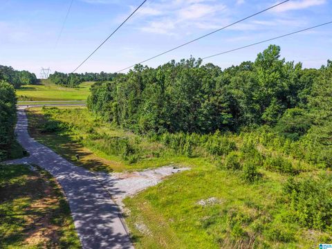 87 BRYAN ROAD A STERRETT AL 35147