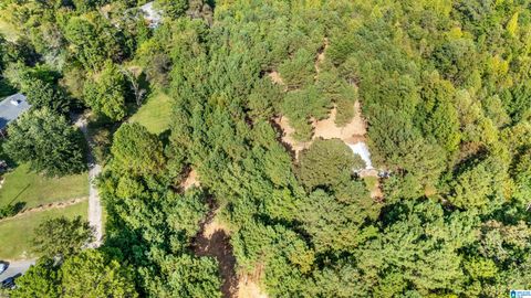 0 RED VALLEY ROAD NA REMLAP AL 35133