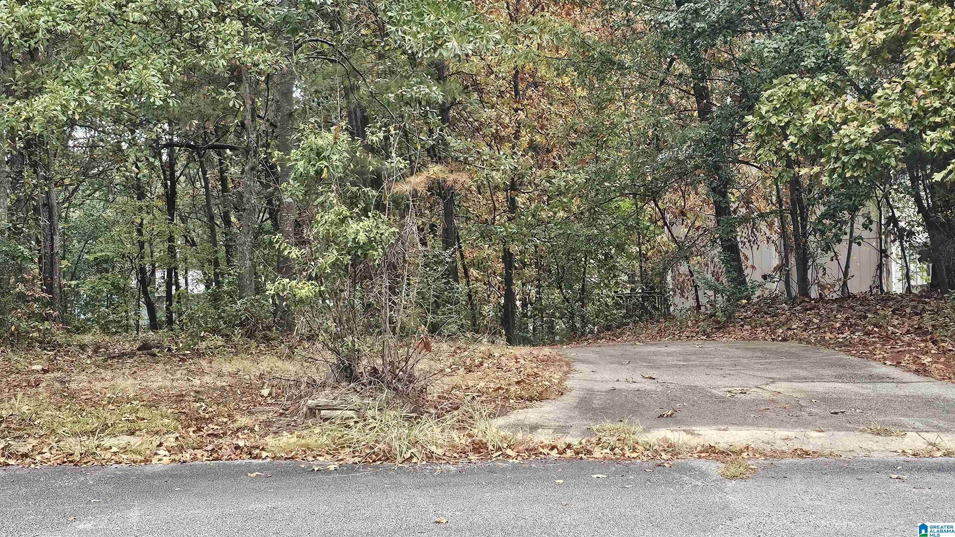 1208 SISKIN DRIVE 25