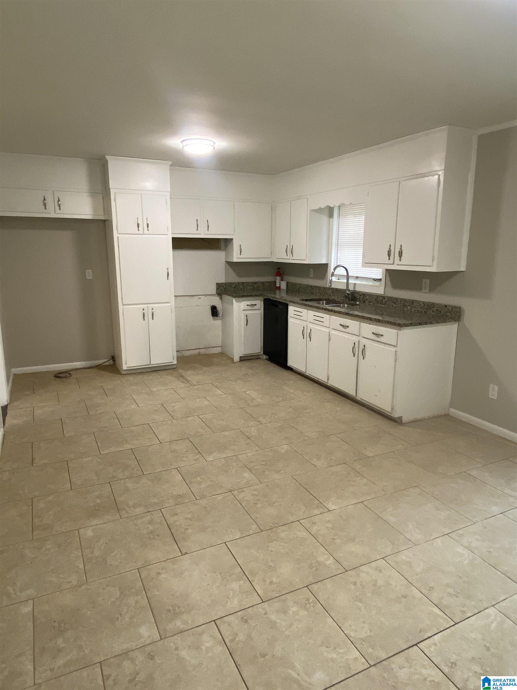 1009 SPRINGVIEW STREET