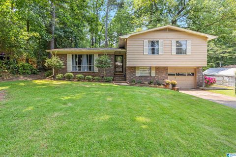 809 SHERWOOD FOREST DRIVE BIRMINGHAM AL 35235