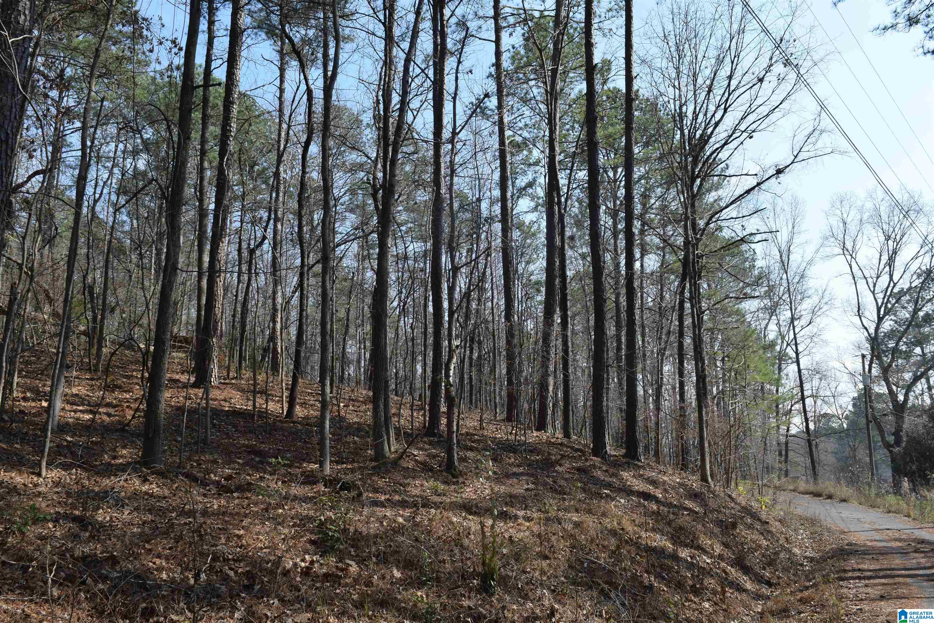 1200 PINE RIDGE CIRCLE