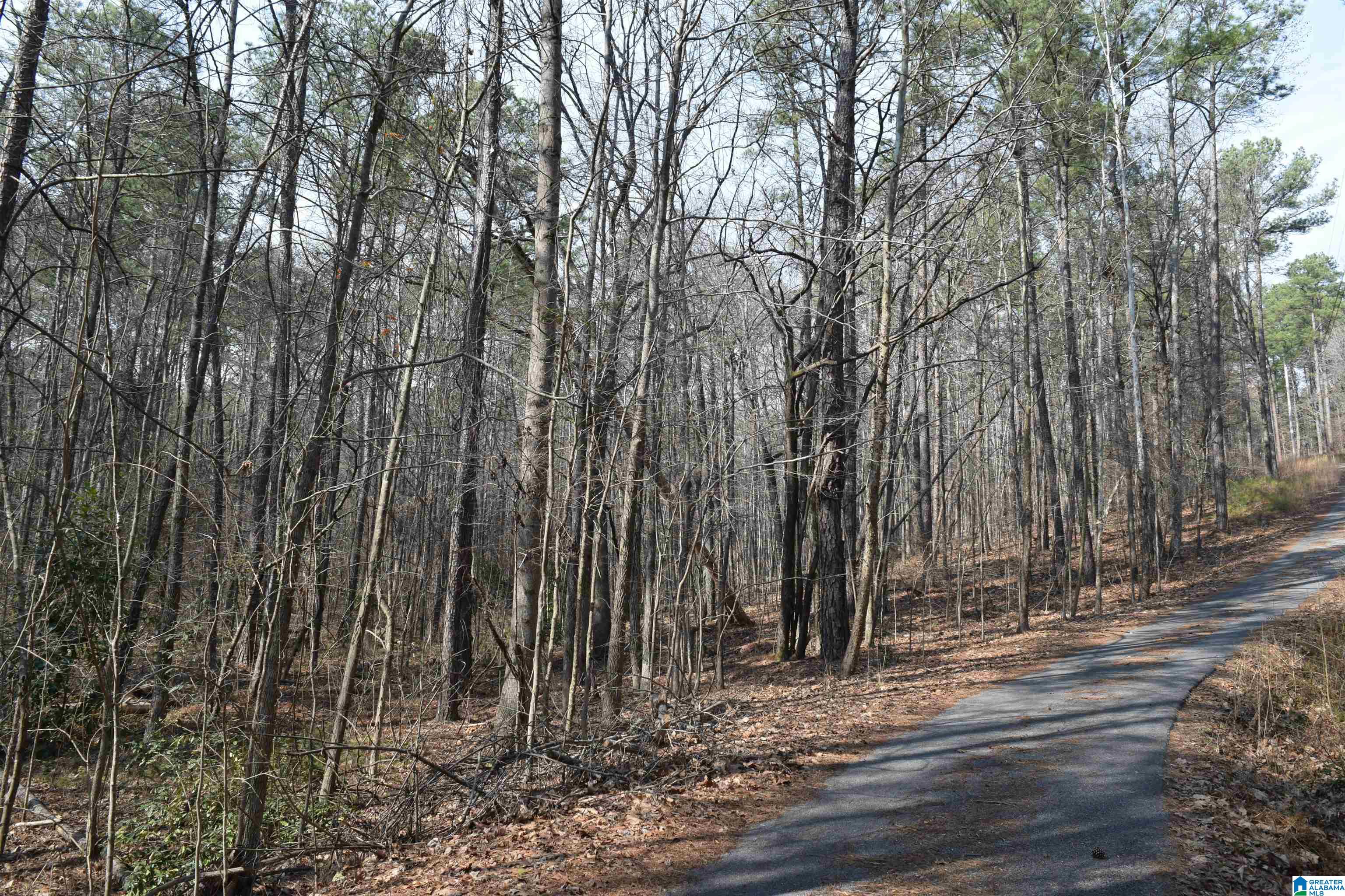 1200 PINE RIDGE CIRCLE