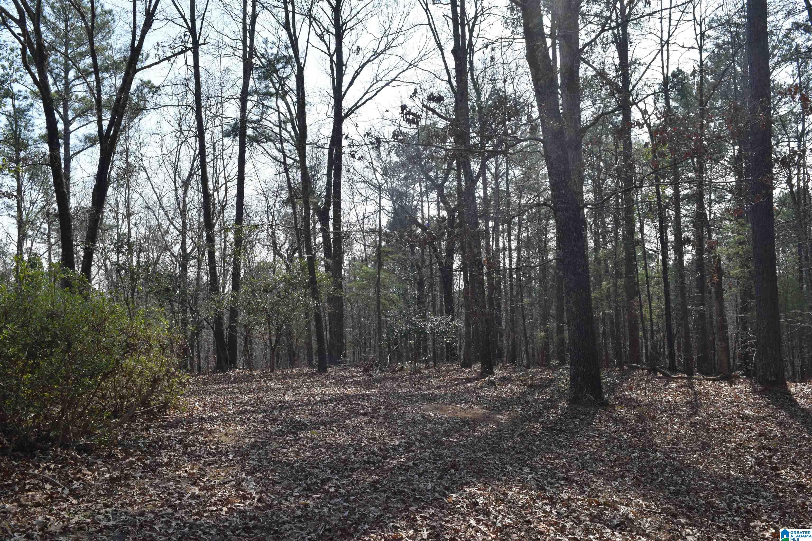 1200 PINE RIDGE CIRCLE