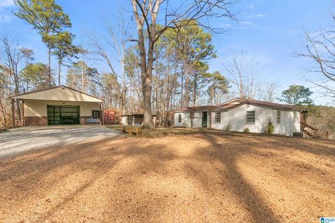 14380 WILLIAMS CAMP ROAD NORTHPORT AL 35475