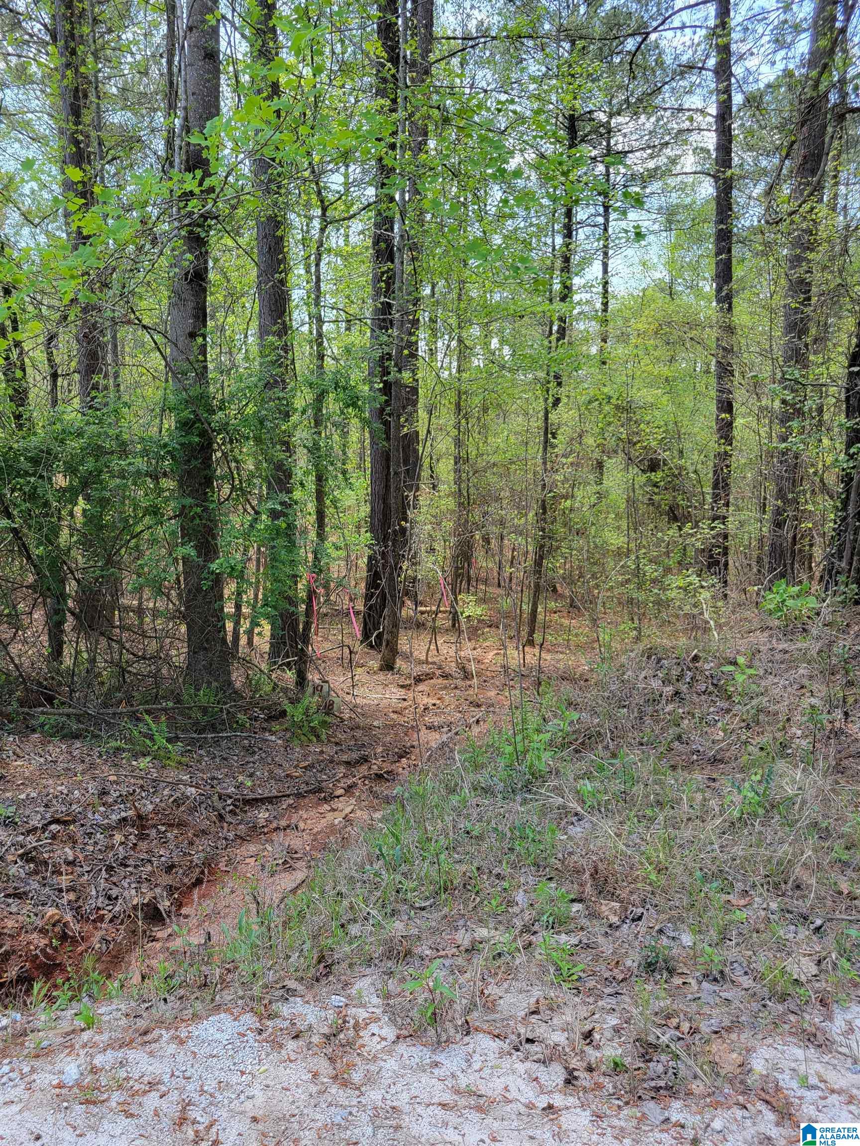 ANCHOR RIDGE 17