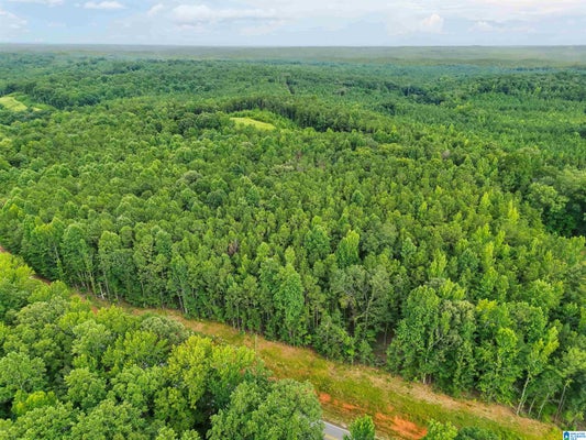 ADDRESS PRIVATE, VERBENA, AL 36091 - Image d1eac9c7f5852396e4e680eef51b4e1f/4217565158