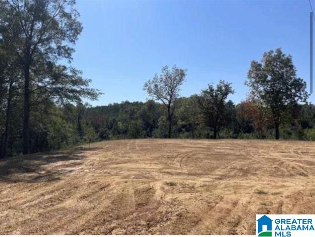 HILL CREEK DRIVE 00
