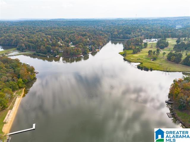 13840 GINGER DRIVE