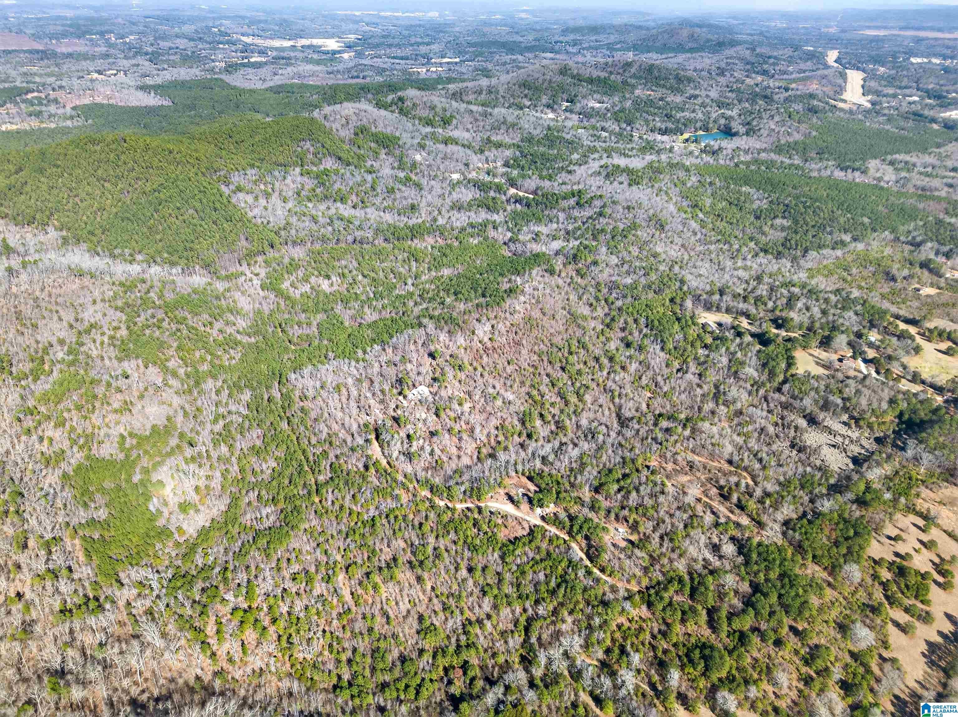 00 FLYING L RANCH ROAD 1 - Photo 2