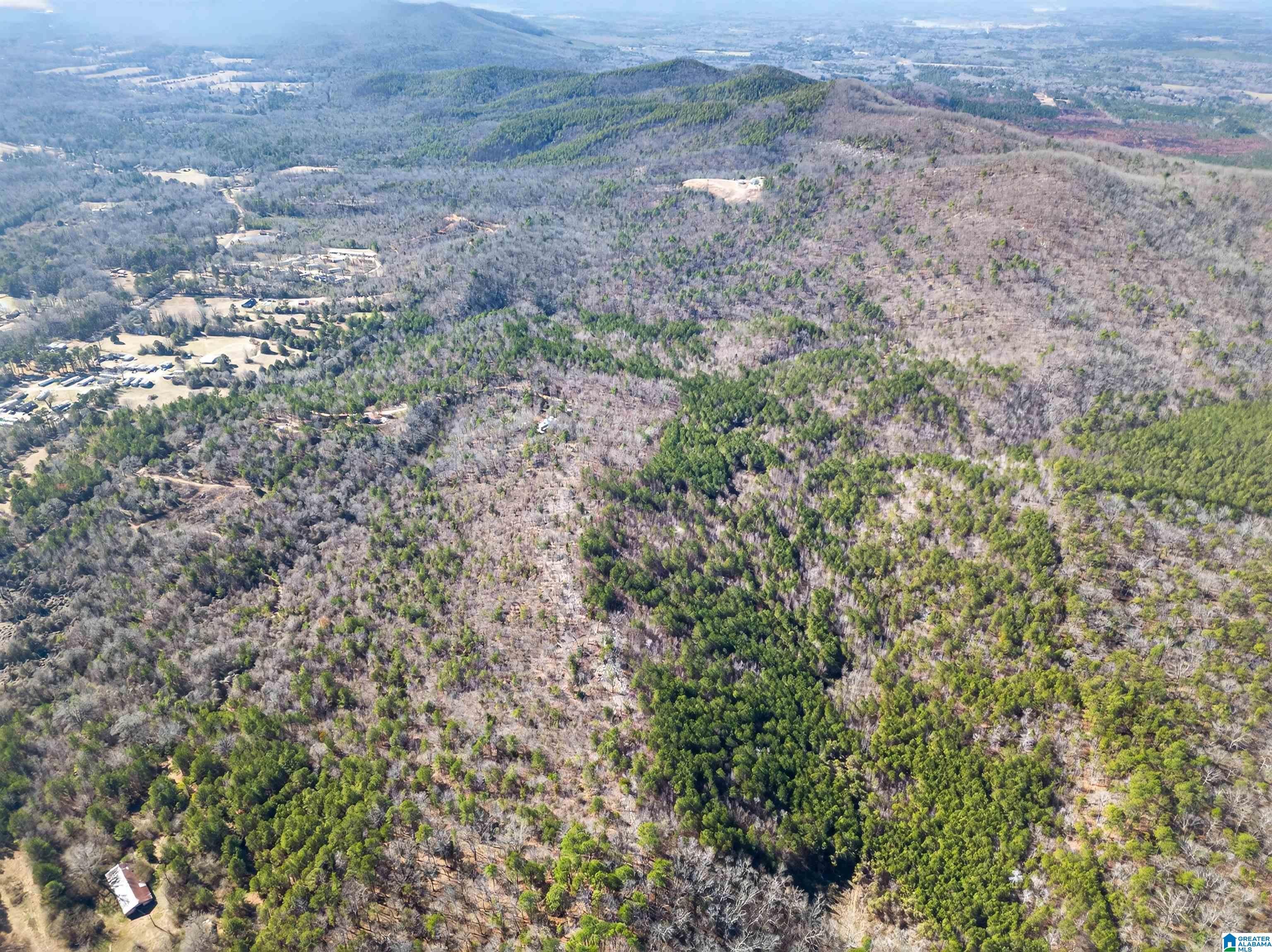 00 FLYING L RANCH ROAD 1 - Photo 3