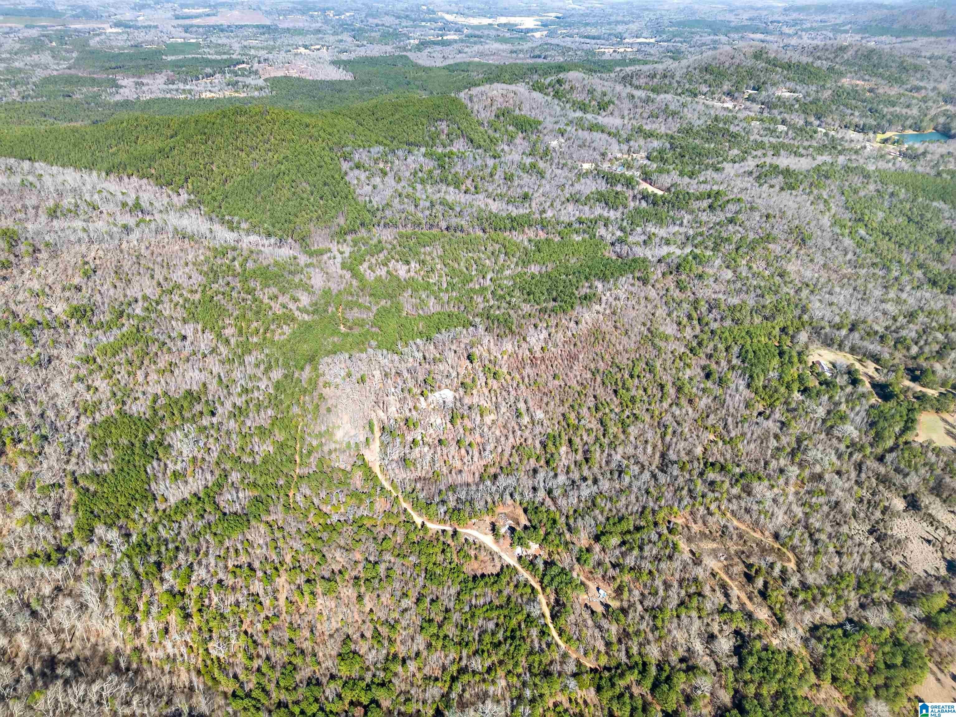 00 FLYING L RANCH ROAD 1 - Photo 4