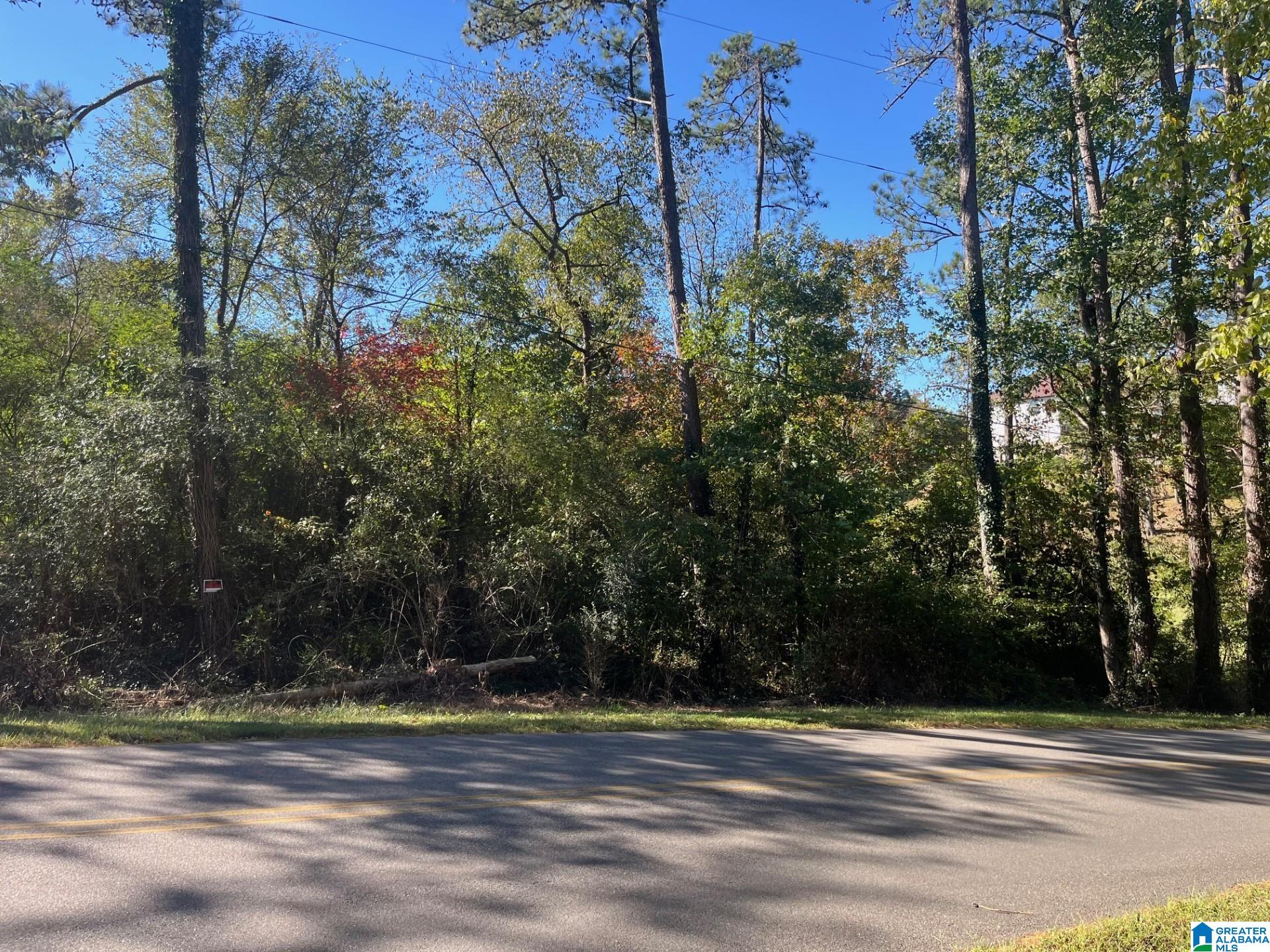 Photo 1 of 1 — 725 LUAL DRIVE 8, FULTONDALE, AL 35217