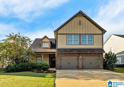 800 BRADDOCK ROAD E SPRINGVILLE AL 35146