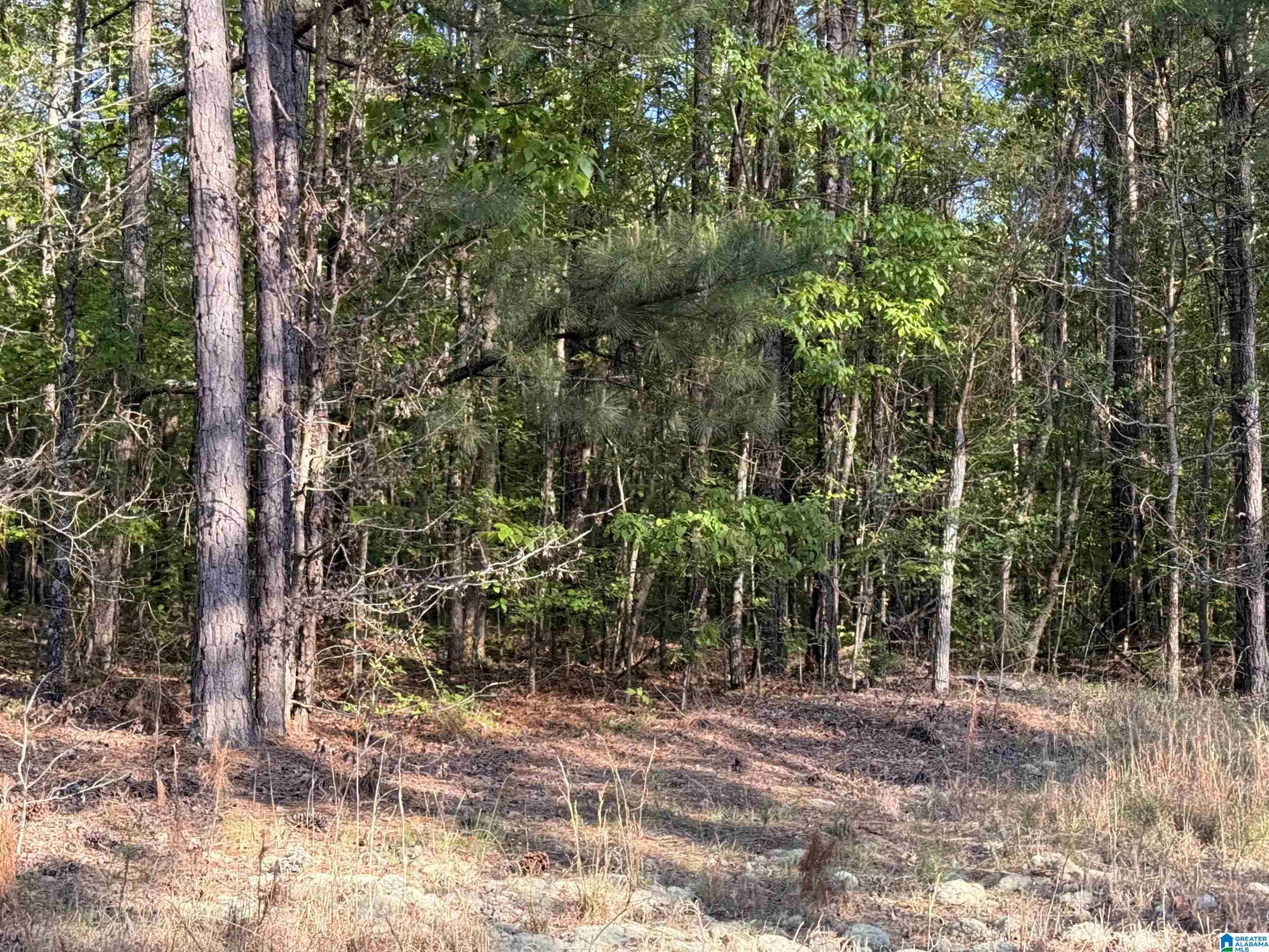 0 PINEY WOODS ROAD 3