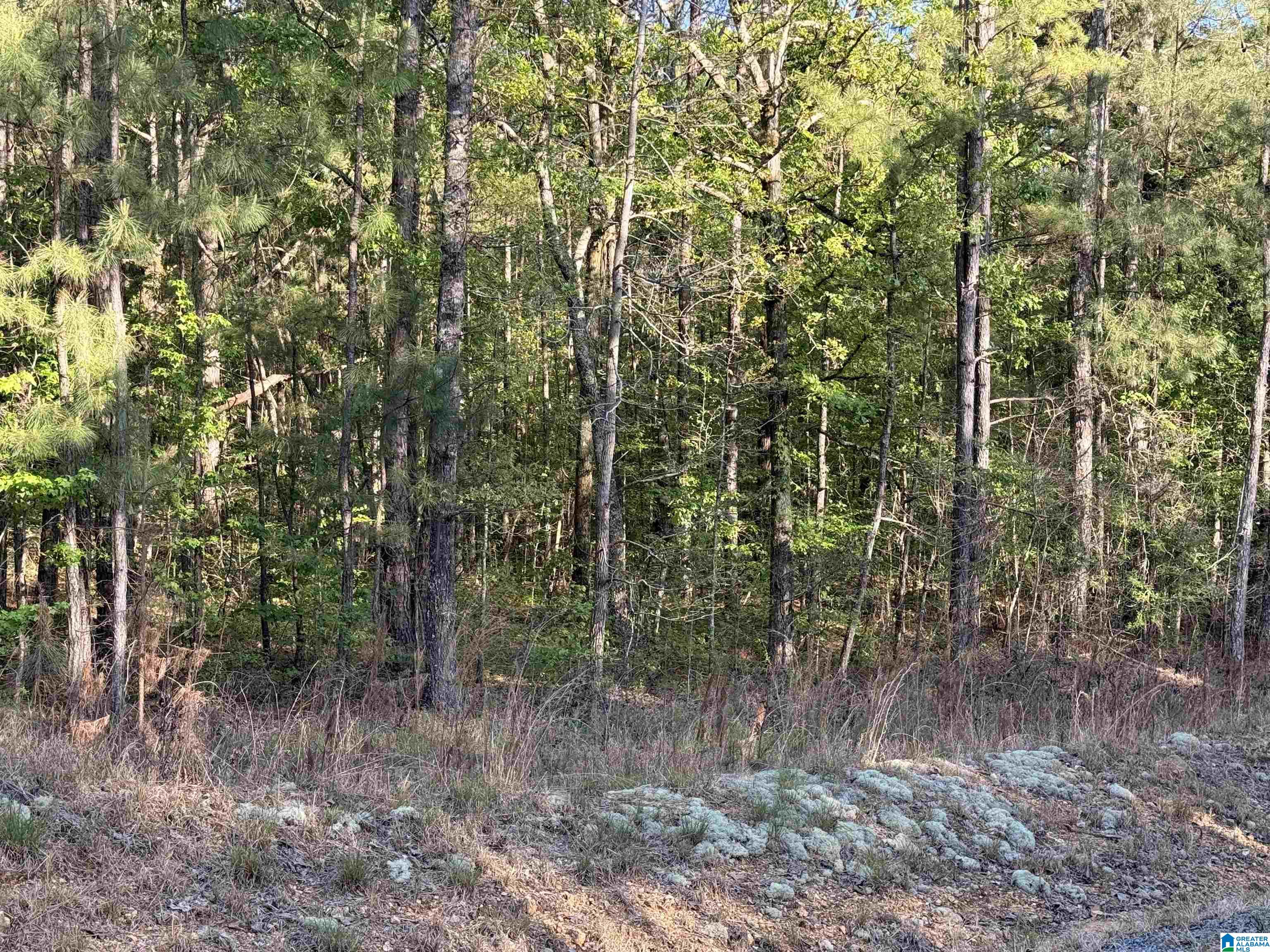 0 PINEY WOODS ROAD 3