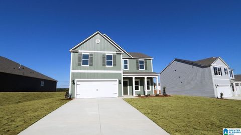 684 FISH CAMP ROAD CHELSEA AL 35043