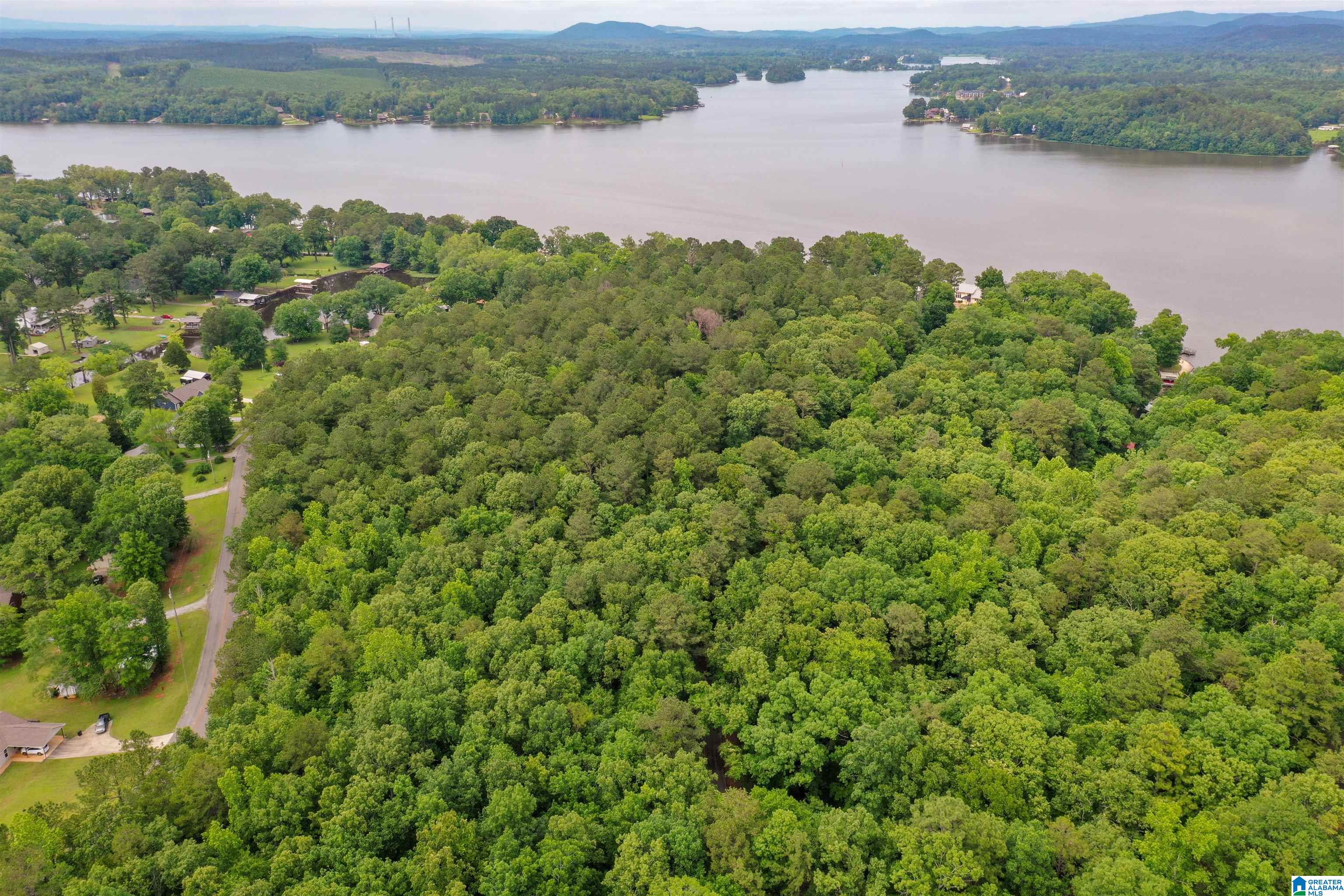 Photo 1 of 23 — RIVER DRIVE Lot 35, SHELBY, AL 35143