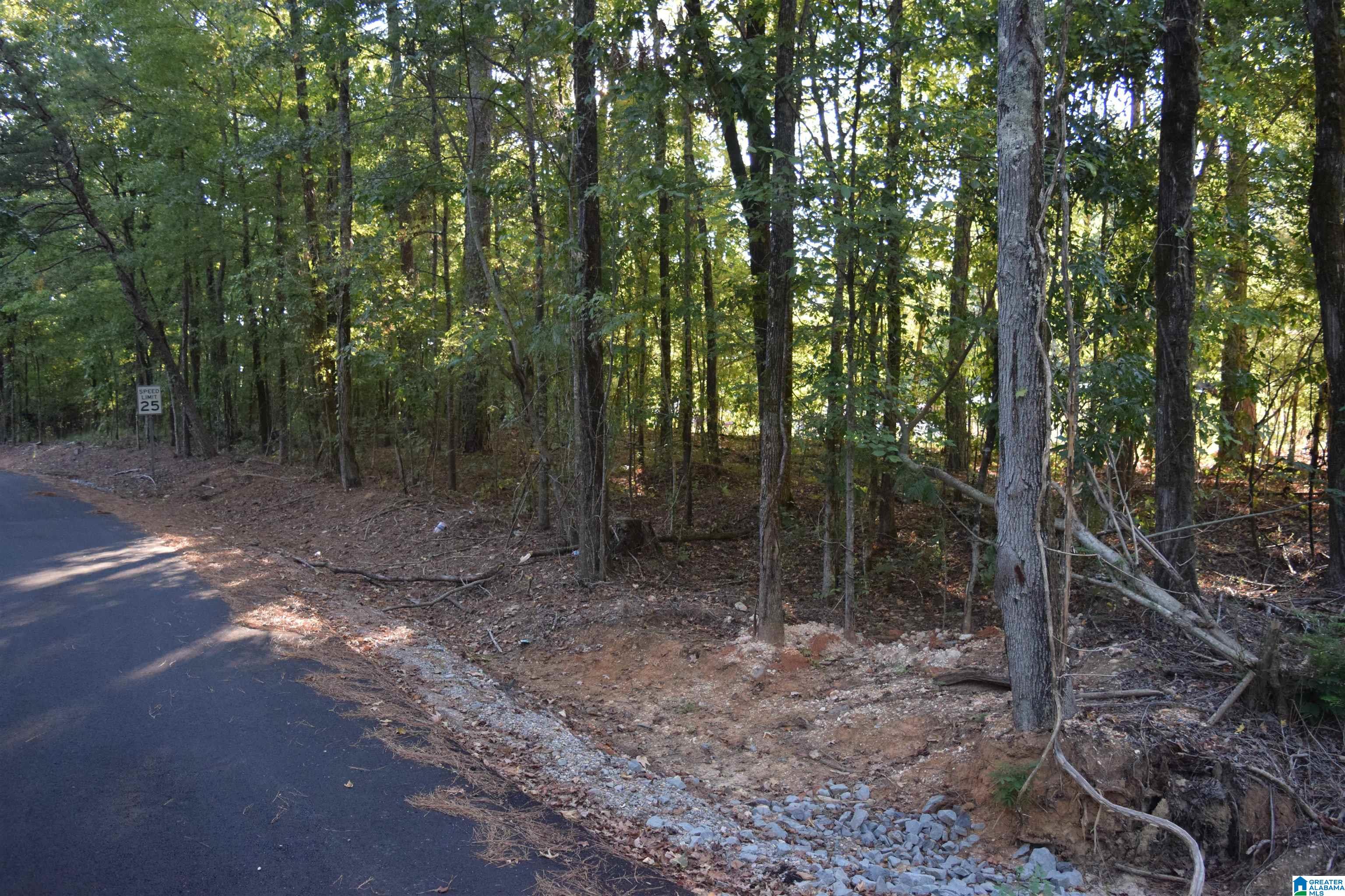 Photo 1 of 6 — 000 CHARLES CIRCLE 75, MCCALLA, AL 35111