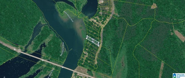 CYPRESS LN, GREENSBORO, AL 36744 - Image d5097ff1685117736991977e31a8a8d2/2226602298