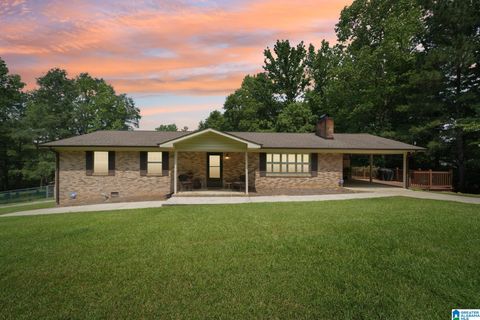 163 COUNTY HIGHWAY 34 BLOUNTSVILLE AL 35031