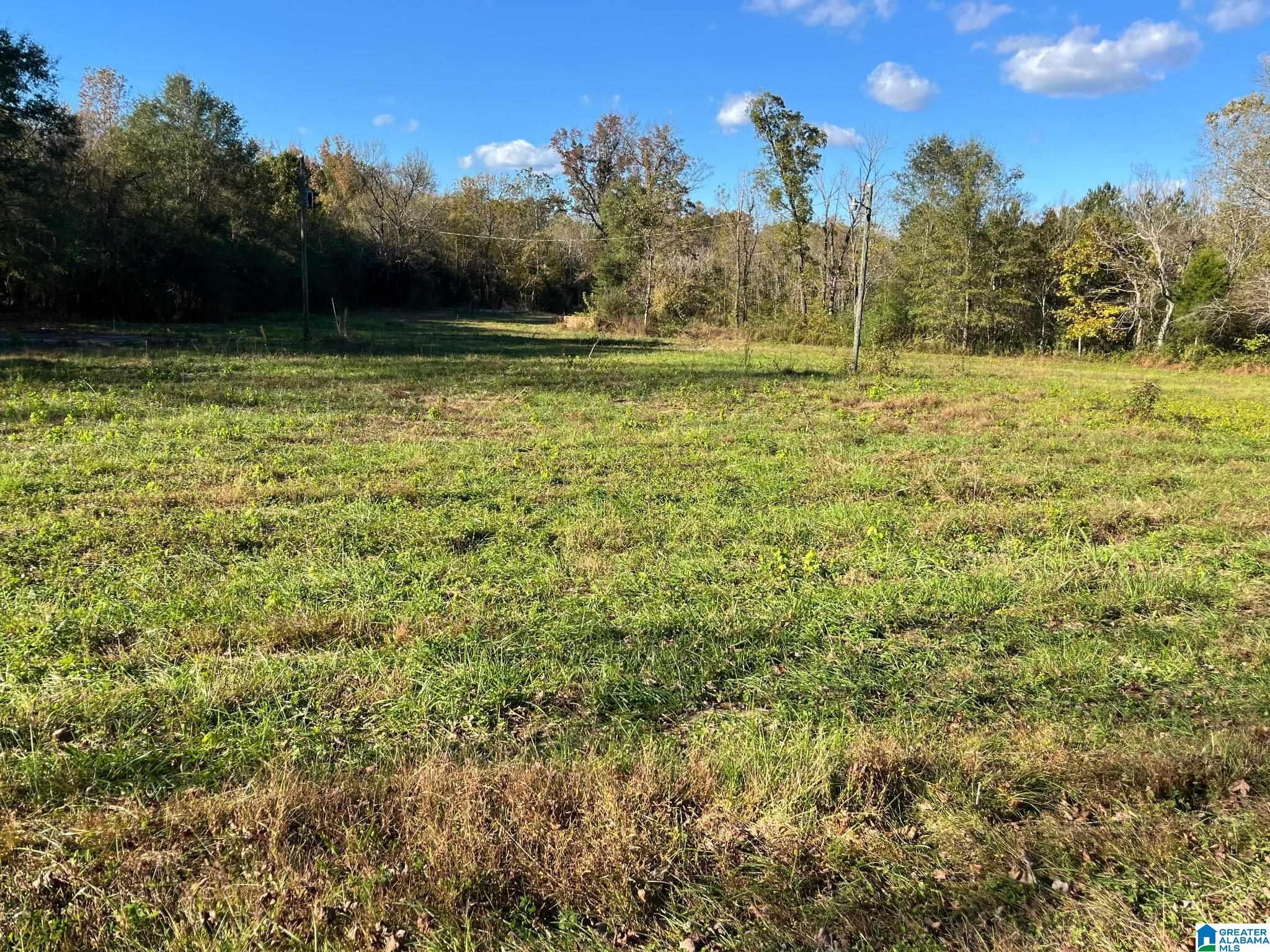 Photo 1 of 1 — 4794 BUD HOLMES ROAD 000, PINSON, AL 35126