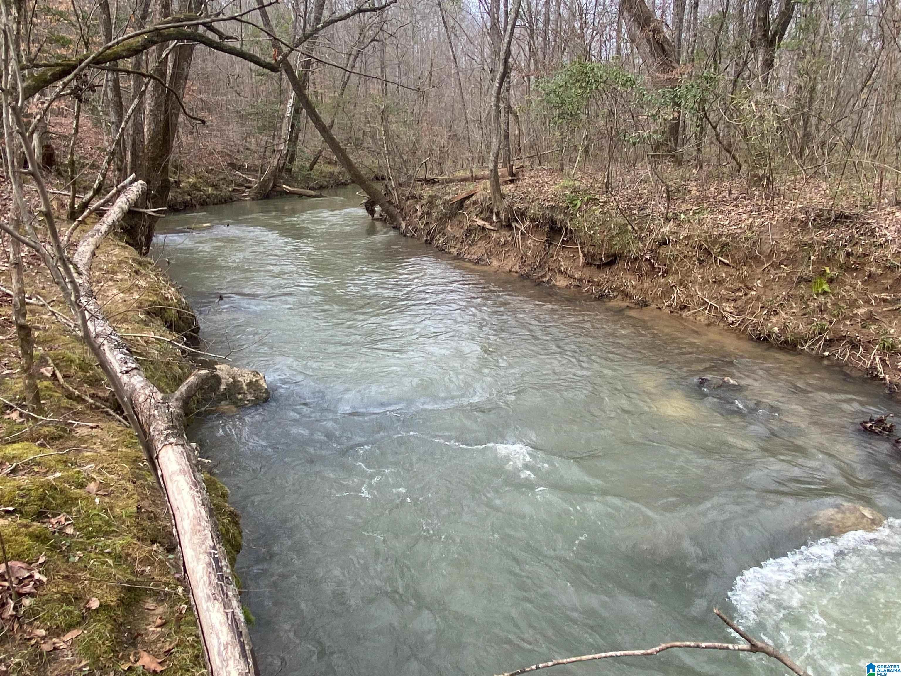 Photo 1 of 9 — 0 SWEATT ROAD Tract C - 29+/- Acres, ASHVILLE, AL 35953