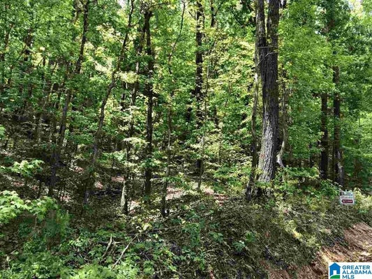 REMLAP DR, REMLAP, AL 35133 - Image d55c3a0e9a27afff7fc9d51b6e342a2a/3076523295