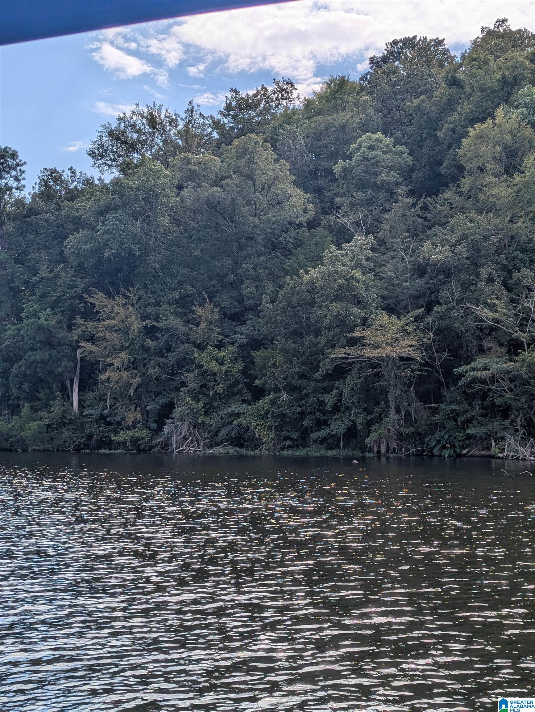 0 COUNTY ROAD 834 3 acre