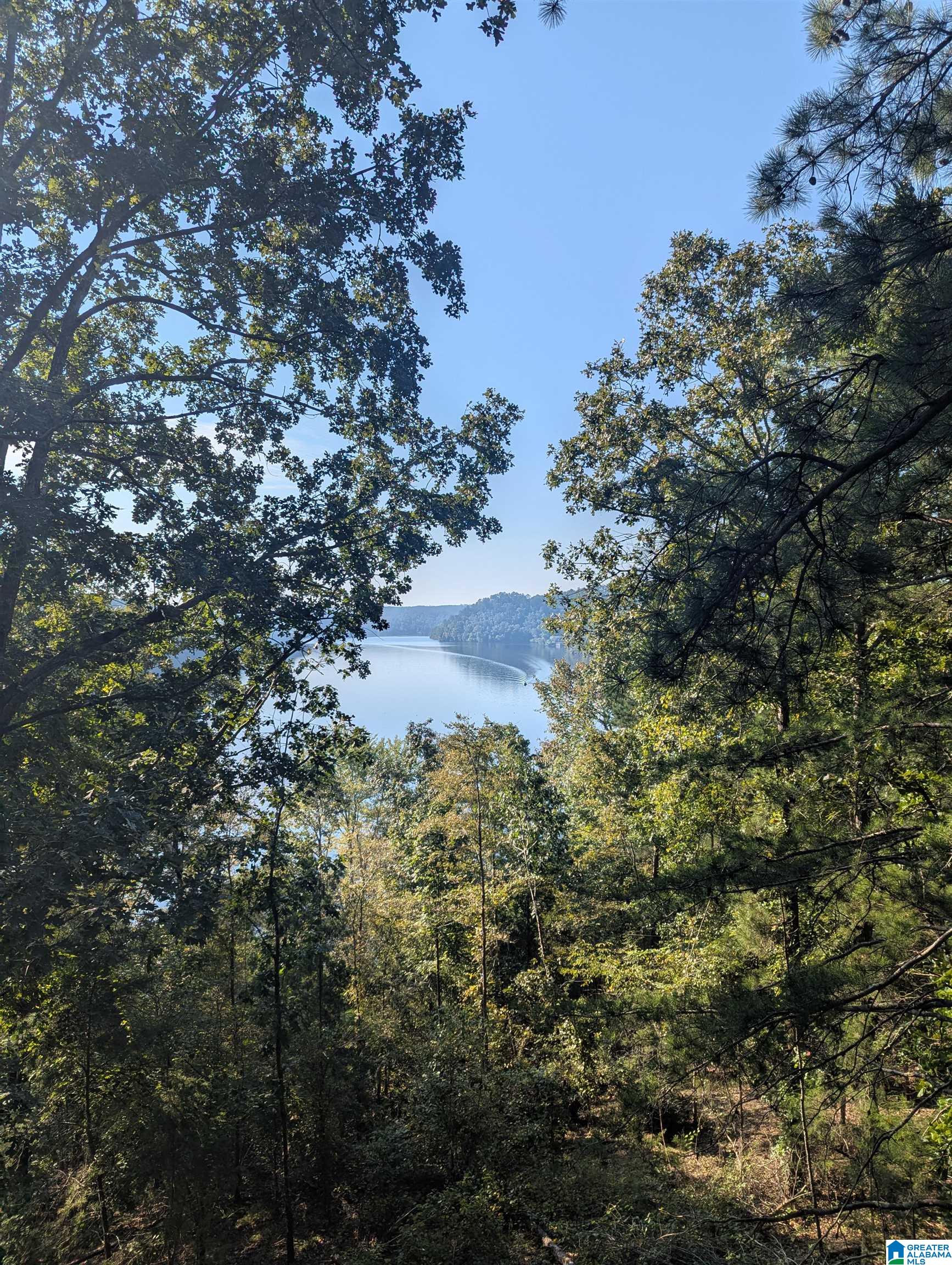 0 COUNTY ROAD 834 3 acre