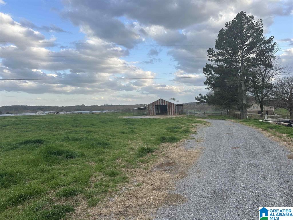 296 COUNTY ROAD 1046 n/a