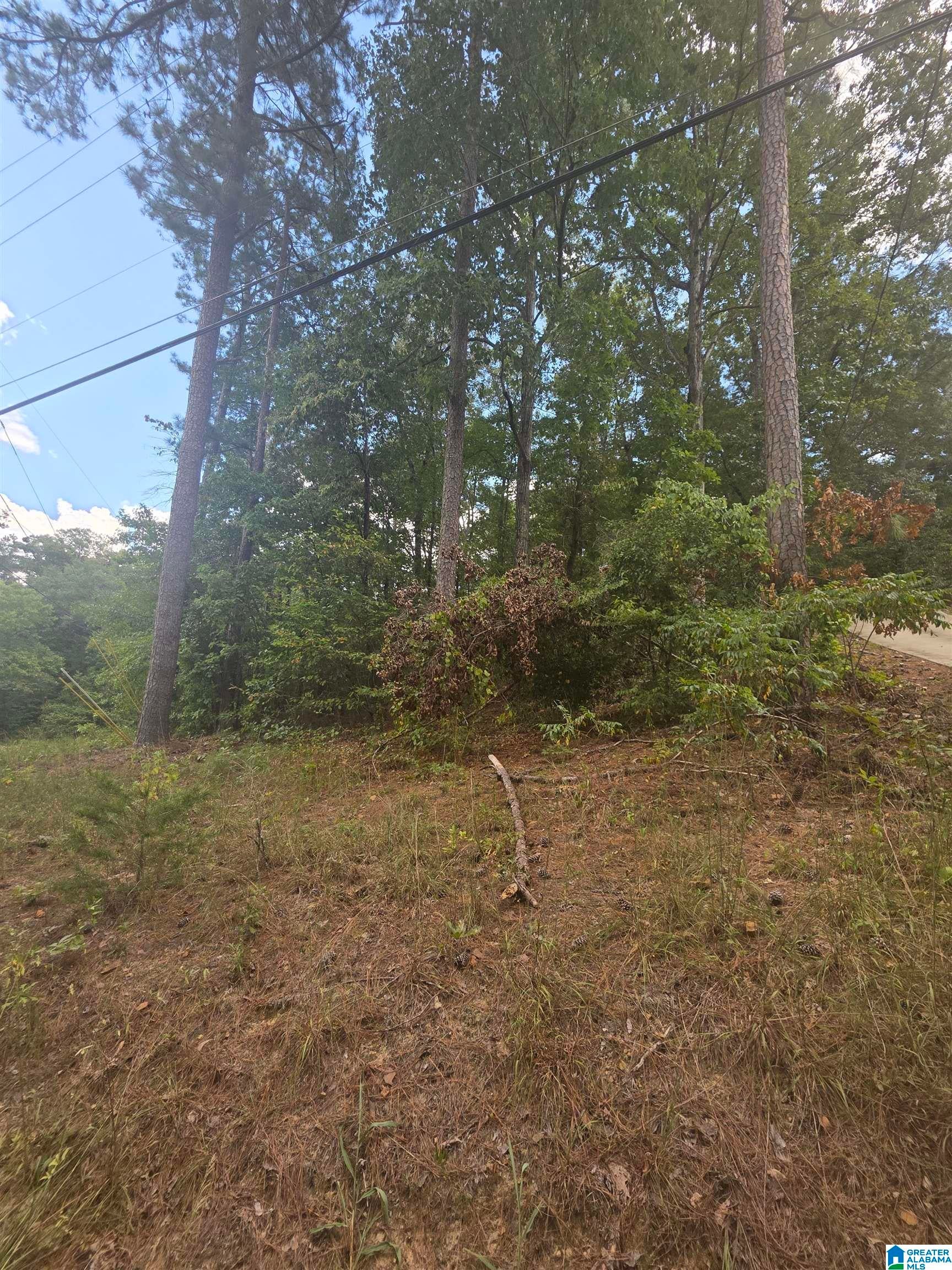 00 DELMAR DRIVE 9
