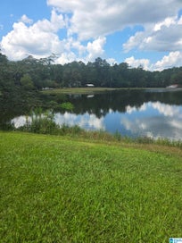 00 DELMAR DRIVE 9 LAKEVIEW AL 35111